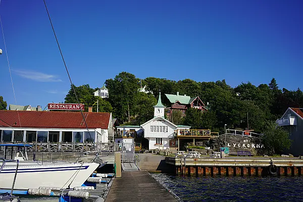 Lyckorna